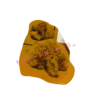 といぷーちゃん（個別スタンプ：12）