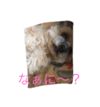 tats（個別スタンプ：6）