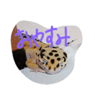 エリーゼスタンプ（個別スタンプ：2）