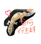 エリーゼスタンプ（個別スタンプ：3）