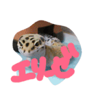 エリーゼスタンプ（個別スタンプ：8）