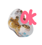 エリーゼスタンプ（個別スタンプ：12）