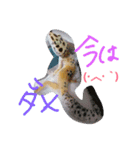 エリーゼスタンプ（個別スタンプ：16）