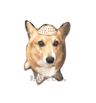 corgi lovers！（個別スタンプ：8）