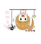DUCKNOI SANSON VER.1（個別スタンプ：2）