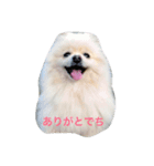 puntan2（個別スタンプ：1）