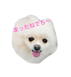 puntan2（個別スタンプ：2）