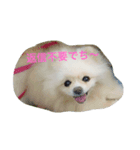 puntan2（個別スタンプ：8）