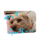 アンジュの日常4（個別スタンプ：3）