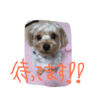 アンジュの日常4（個別スタンプ：18）