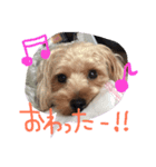アンジュの日常4（個別スタンプ：19）