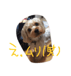 アンジュの日常4（個別スタンプ：21）