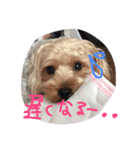 アンジュの日常4（個別スタンプ：22）