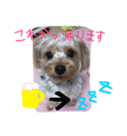 アンジュの日常4（個別スタンプ：23）