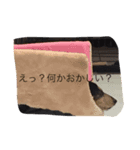 T'ふれあい（個別スタンプ：3）