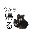 T'ふれあい（個別スタンプ：7）