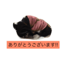 T'ふれあい（個別スタンプ：8）