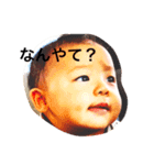 こたろりあくしょん。（個別スタンプ：1）