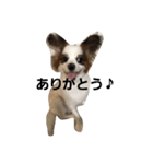 かわいいRくん（個別スタンプ：1）