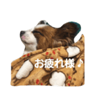 かわいいRくん（個別スタンプ：2）