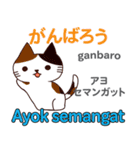 猫の気持ち 日本語インドネシア語（個別スタンプ：3）