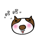 Beagle Mayom（個別スタンプ：3）