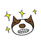 Beagle Mayom（個別スタンプ：5）