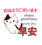 猫の毎日 日本語台湾語（個別スタンプ：1）