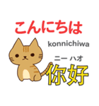 猫の毎日 日本語台湾語（個別スタンプ：2）