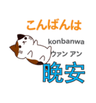 猫の毎日 日本語台湾語（個別スタンプ：3）