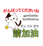 猫の毎日 日本語台湾語（個別スタンプ：5）