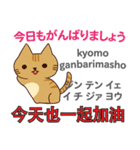 猫の毎日 日本語台湾語（個別スタンプ：6）