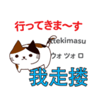 猫の毎日 日本語台湾語（個別スタンプ：7）