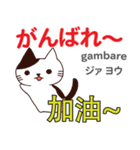 猫の毎日 日本語台湾語（個別スタンプ：9）