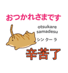 猫の毎日 日本語台湾語（個別スタンプ：14）