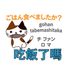 猫の毎日 日本語台湾語（個別スタンプ：15）