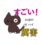 猫の毎日 日本語台湾語（個別スタンプ：16）