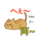 猫の毎日 日本語台湾語（個別スタンプ：22）