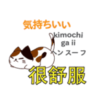 猫の毎日 日本語台湾語（個別スタンプ：23）