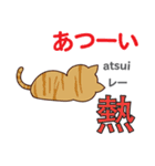 猫の毎日 日本語台湾語（個別スタンプ：26）