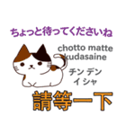 猫の毎日 日本語台湾語（個別スタンプ：27）