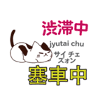 猫の毎日 日本語台湾語（個別スタンプ：29）