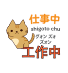 猫の毎日 日本語台湾語（個別スタンプ：30）