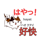 猫の毎日 日本語台湾語（個別スタンプ：31）