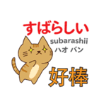 猫の毎日 日本語台湾語（個別スタンプ：34）