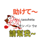 猫の毎日 日本語台湾語（個別スタンプ：35）