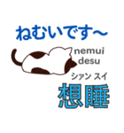 猫の毎日 日本語台湾語（個別スタンプ：37）