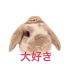 うさぎのひまわりくんpart1（個別スタンプ：3）