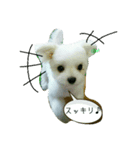 cute mix dog'Ciel'（個別スタンプ：7）