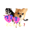 chiwawawawaw（個別スタンプ：6）